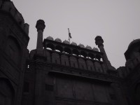 IMG_1819.jpg