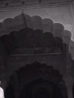 IMG_1821.jpg