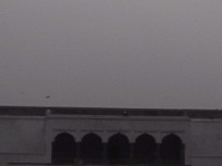IMG_1830.jpg