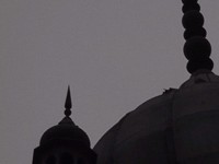 IMG_1861.jpg