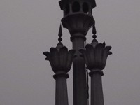 IMG_1864.jpg