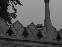 IMG_1866.jpg