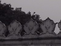 IMG_1868.jpg