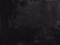 IMG_1870.jpg