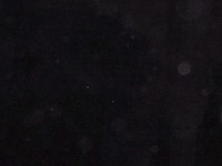 IMG_1872.jpg
