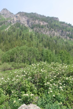 IMG_1754.jpg