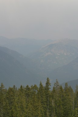 IMG_1816.jpg