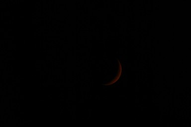 IMG_1911.jpg