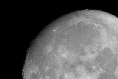 IMG_2308.jpg