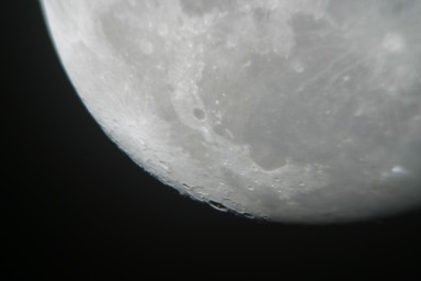 IMG_2315.jpg