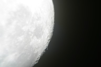 IMG_2318.jpg