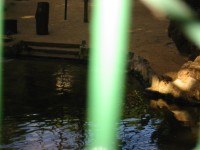 IMG_0666.jpg