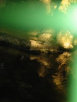 IMG_0669.jpg