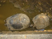 IMG_0674.jpg