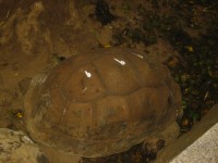 IMG_0676.jpg