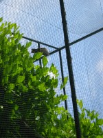 IMG_0677.jpg