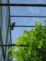 IMG_0679.jpg