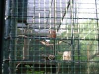 IMG_0681.jpg