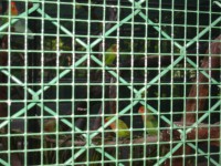 IMG_0682.jpg
