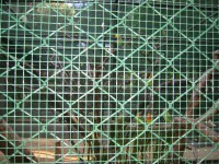 IMG_0683.jpg