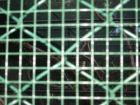 IMG_0684.jpg