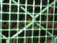 IMG_0685.jpg