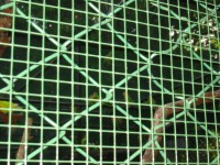 IMG_0686.jpg