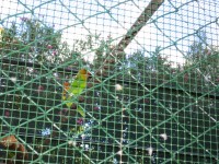 IMG_0690.jpg