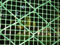 IMG_0692.jpg