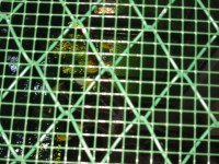 IMG_0693.jpg