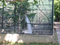 IMG_0694.jpg