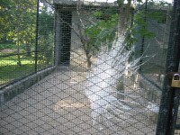 IMG_0698.jpg