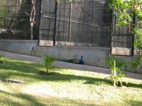IMG_0702.jpg