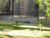 IMG_0703.jpg