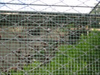 IMG_0718.jpg