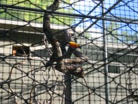 IMG_0721.jpg