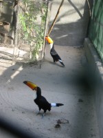 IMG_0727.jpg