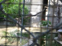 IMG_0735.jpg