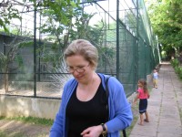 IMG_0737.jpg