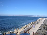 IMG_0795.jpg