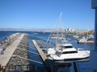 IMG_0796.jpg