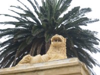 IMG_0834.jpg