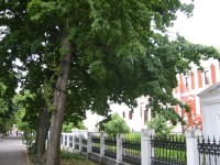 IMG_0855.jpg
