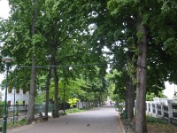 IMG_0856.jpg