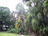 IMG_0859.jpg