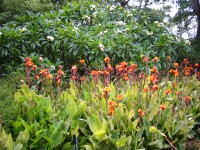 IMG_0860.jpg