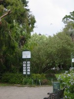 IMG_0863.jpg
