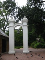 IMG_0867.jpg