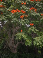 IMG_0868.jpg