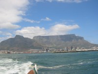 IMG_0869.jpg